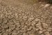 Dampak Kekeringan