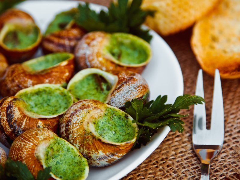 escargot