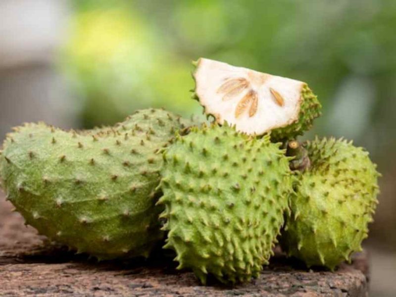 Kandungan Nutrisi Sirsak Yang Baik Untuk Tubuh