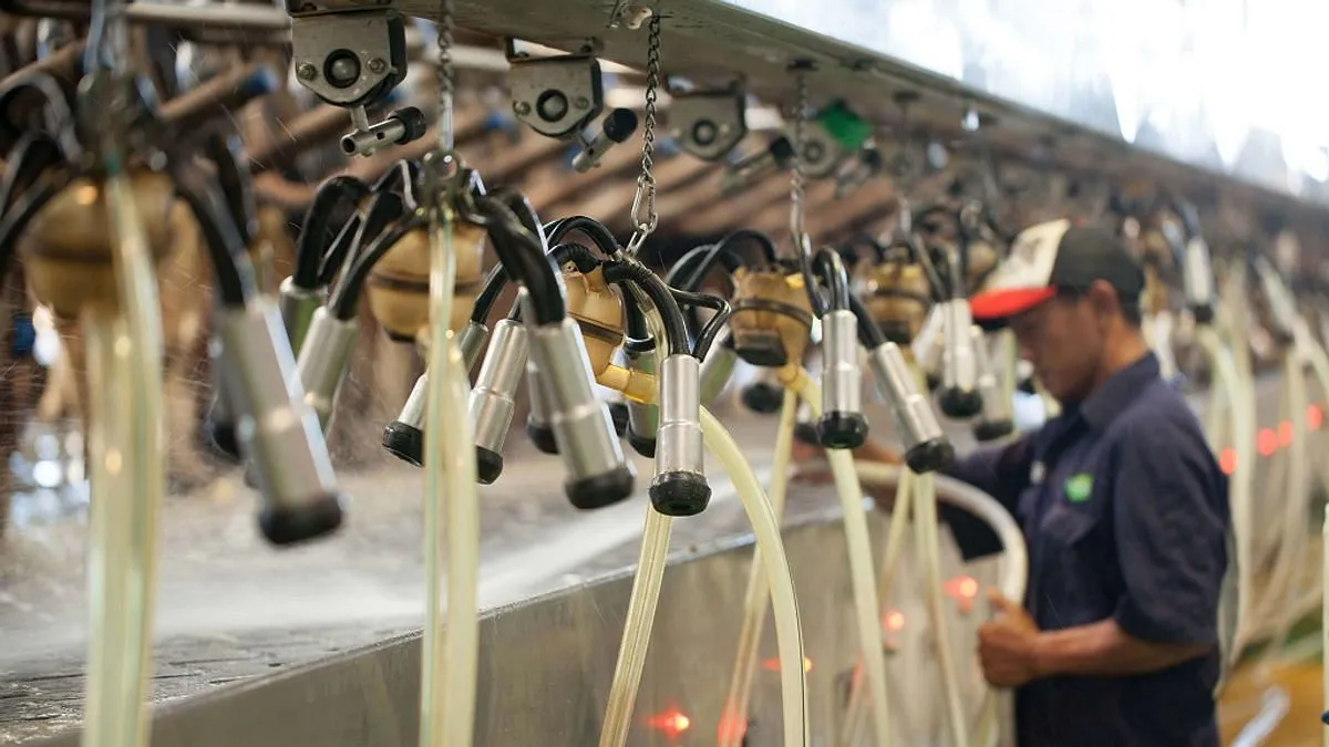 Teknologi Modern Dan Kemajuan Signifikan Produksi Susu