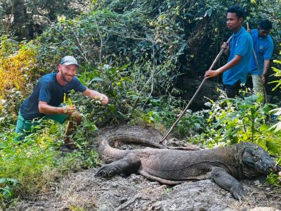 Pesona Alam Tersembunyi Di Pulau Komodo, NTT