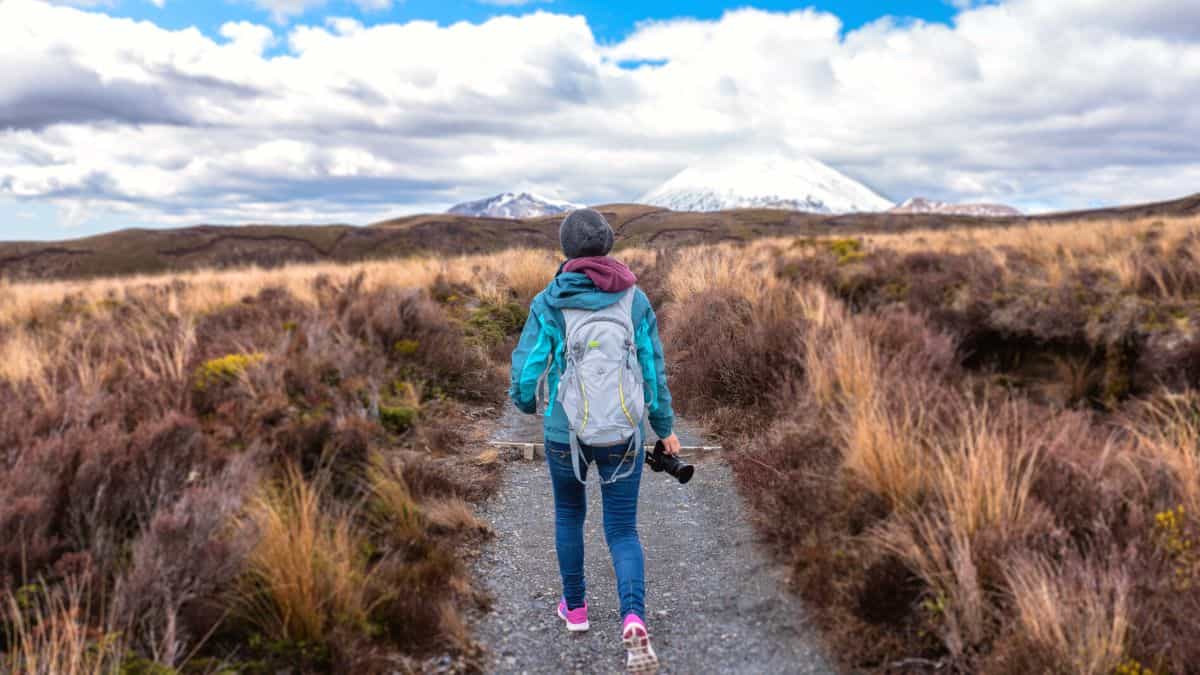 Solo Traveling Di Selandia Baru: Petualangan Sekali Seumur Hidup