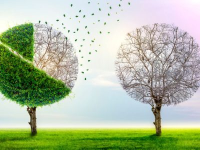 Mitigasi Krisis Iklim Melalui Inisiatif Yang Ramah Lingkungan