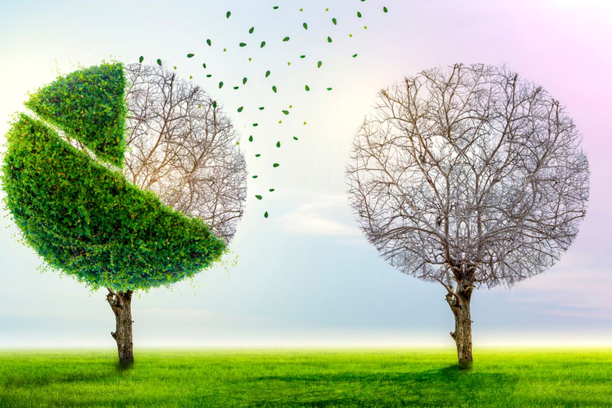 Mitigasi Krisis Iklim Melalui Inisiatif Yang Ramah Lingkungan