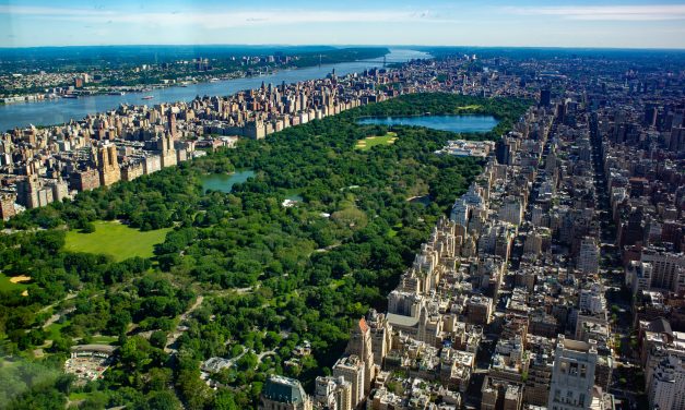 Central Park Menjadi Taman Kota Paling Ikonik Di Dunia