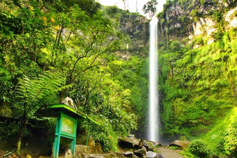 Coban Rondo, Pesona Air Terjun Eksotis Di Malang, Jawa Timur