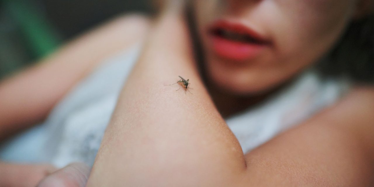 Penyakit Demam Berdarah Wajib Di Waspadai