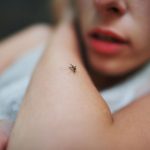 Penyakit Demam Berdarah Wajib Di Waspadai