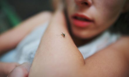 Penyakit Demam Berdarah Wajib Di Waspadai