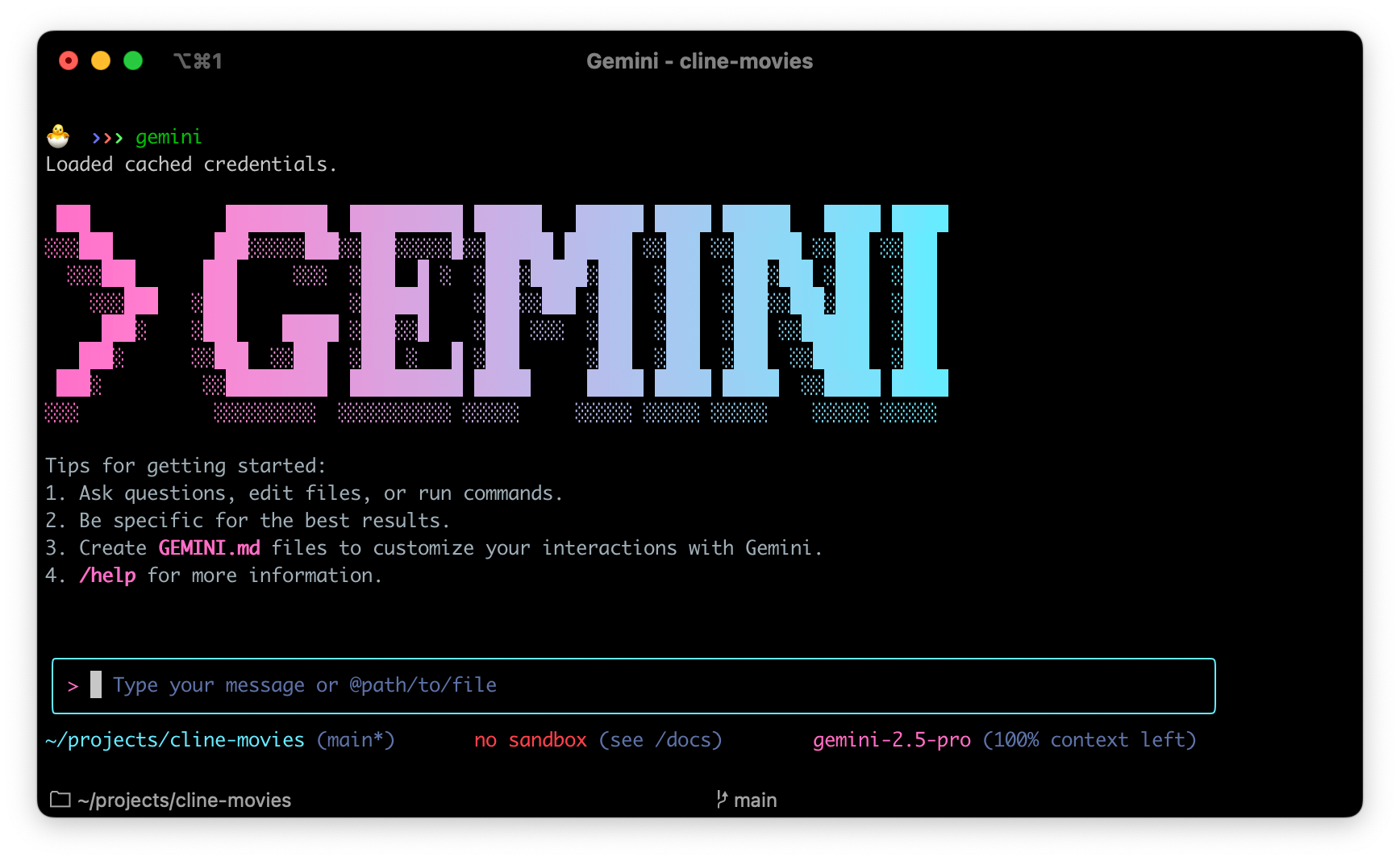 Gemini CLI