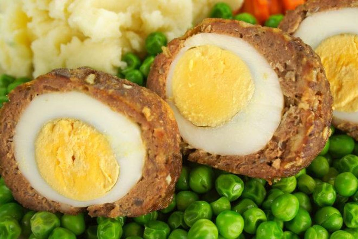 Olahan Daging Telur