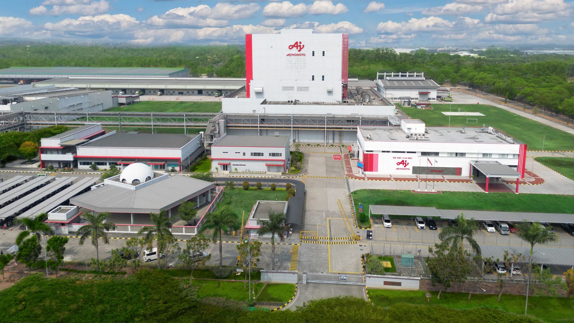 Ajinomoto