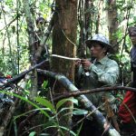 Teknologi Hasil Hutan Sebuah Langkah Inovasi Lebih Maju