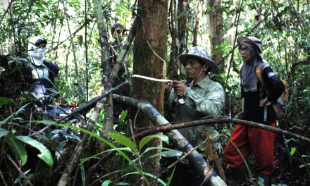 Teknologi Hasil Hutan Sebuah Langkah Inovasi Lebih Maju