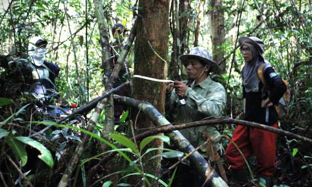 Teknologi Hasil Hutan Sebuah Langkah Inovasi Lebih Maju