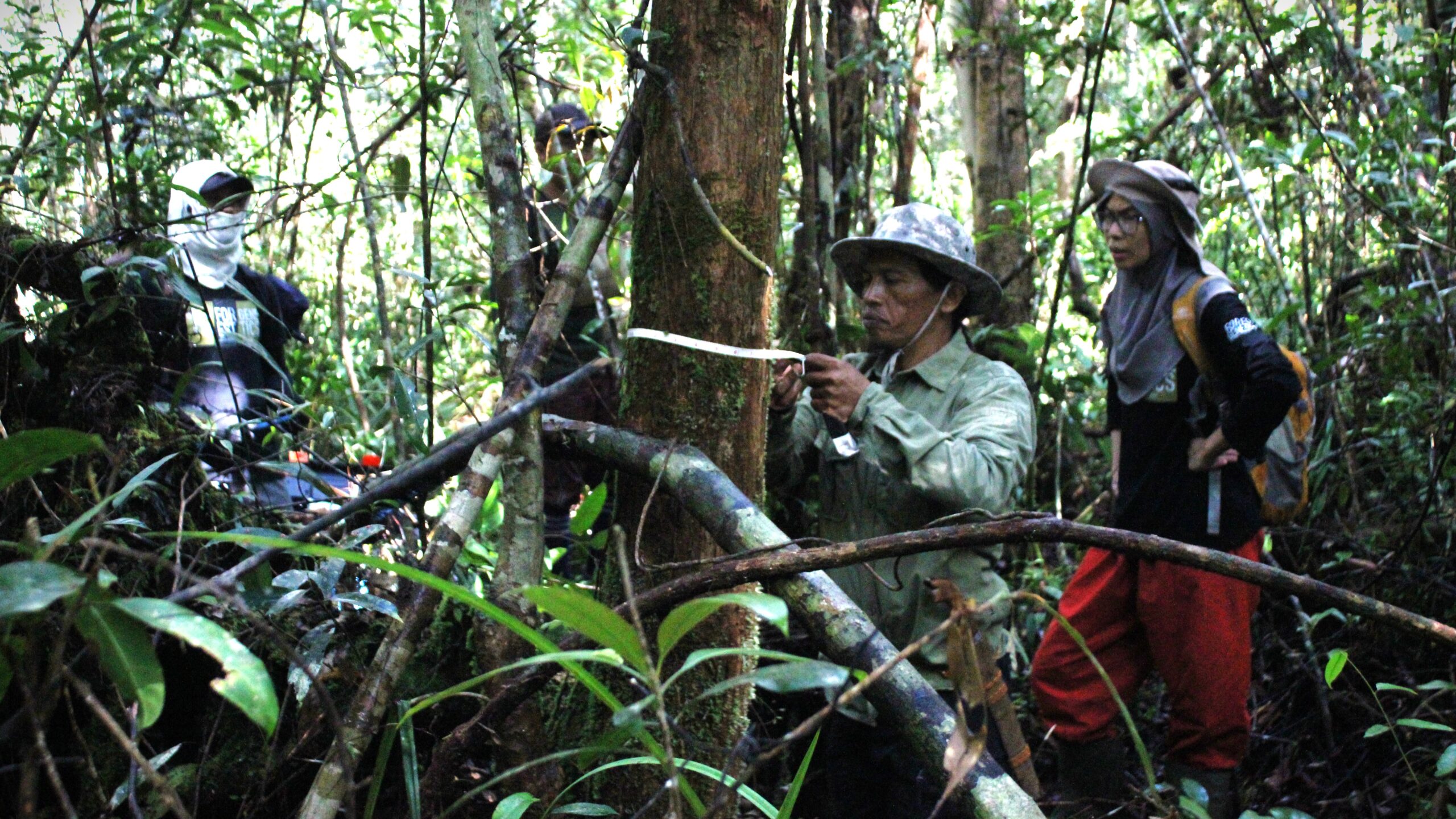 Teknologi Hasil Hutan