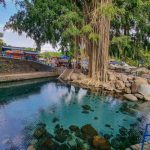 Umbul Kapilaler Wisata Alami Klaten, Airnya Jernih Banget