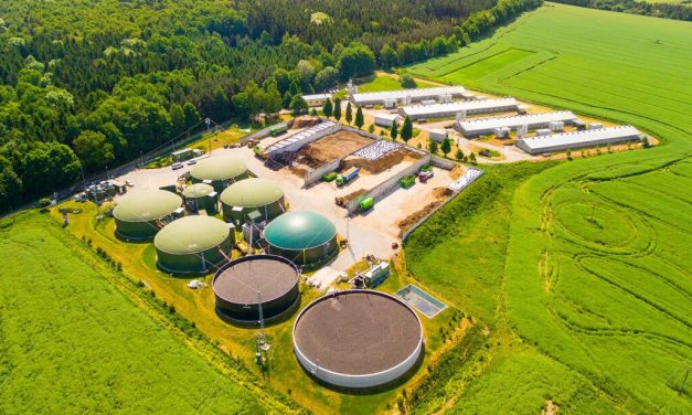 Teknologi Biofuel Di Gunakan Untuk Pengganti Bahan Bakar Fosil