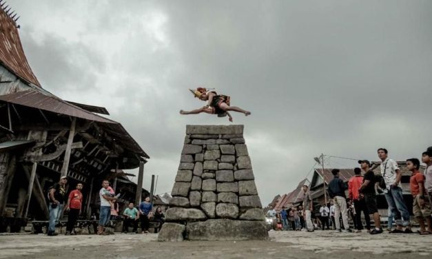Kegiatan Lompat Batu Nias Simbol Keberanian Seorang Pria Nias